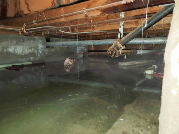 Best Residential water damage restoration  in Untain Grove, MO