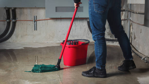 Best Commercial water damage restoration  in Untain Grove, MO