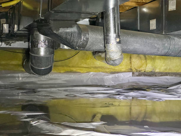 Best Basement water damage restoration  in Untain Grove, MO
